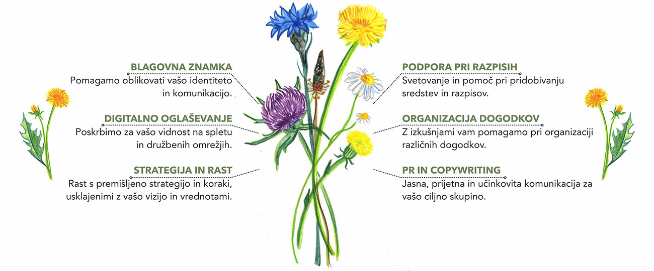rozice-storitve-desktop